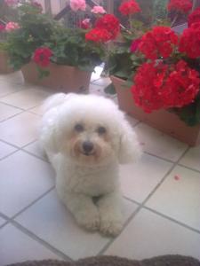 edith