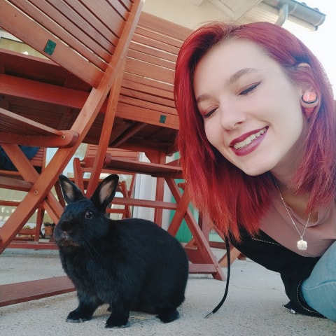 Stella