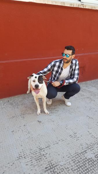 Vincenzo