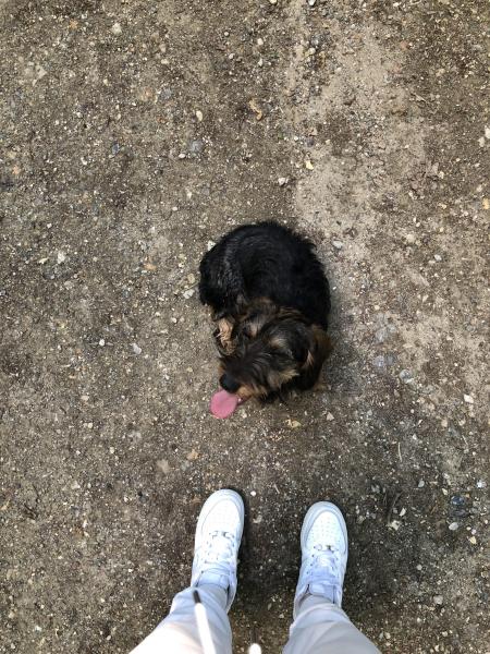 Lilou