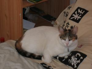Aline