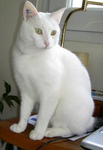 valerie
