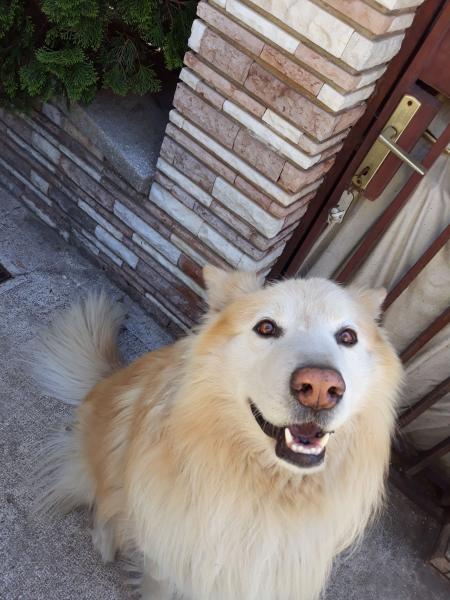 Lili