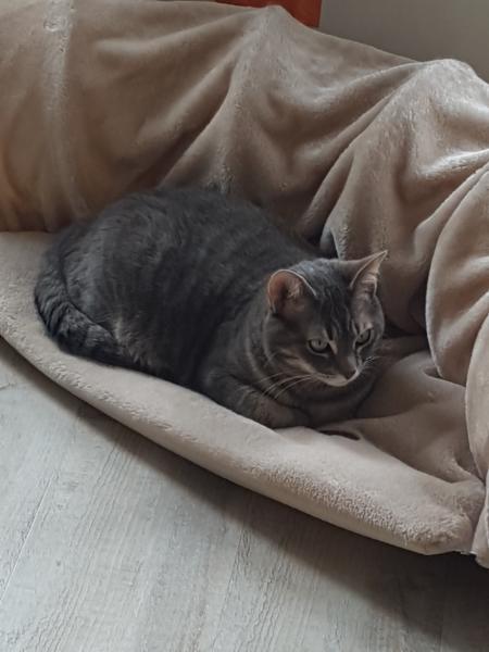 Charlene