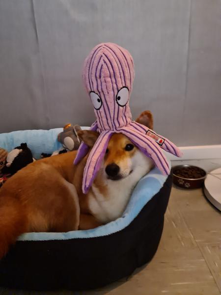 Mélina