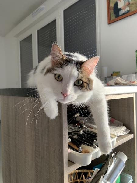 chloé