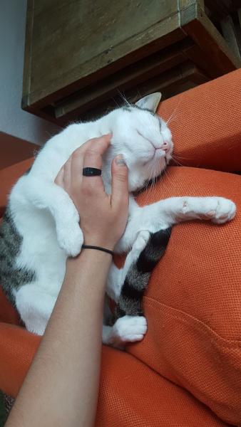 Alice