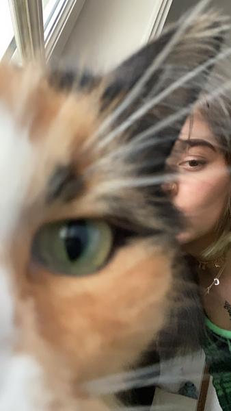 cloe