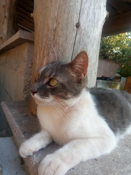 chloe
