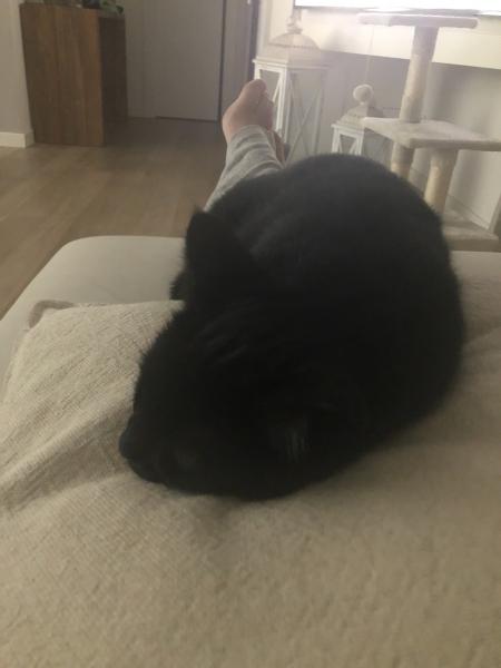 Edoardo