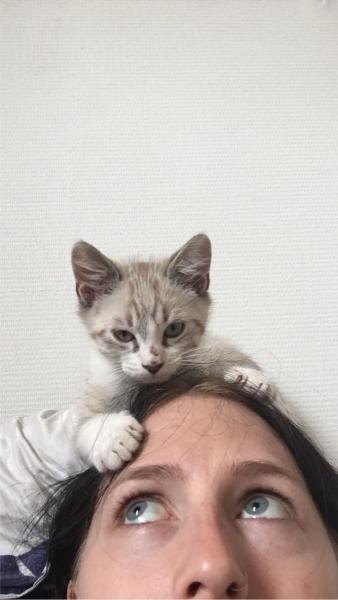 Chloe