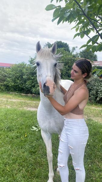 Bérénice