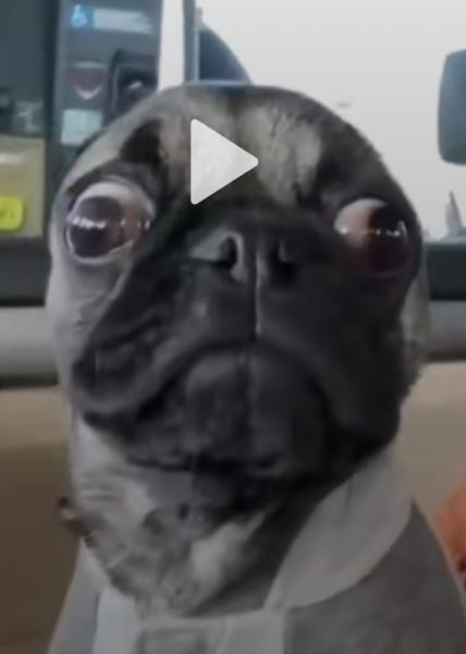 Sean