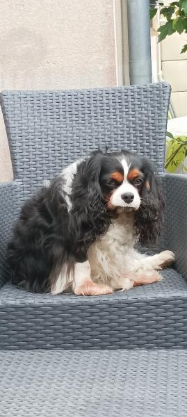 Sophie