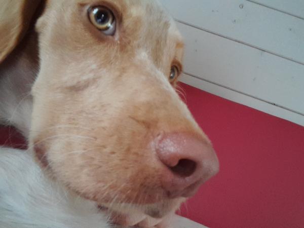 Tifanny