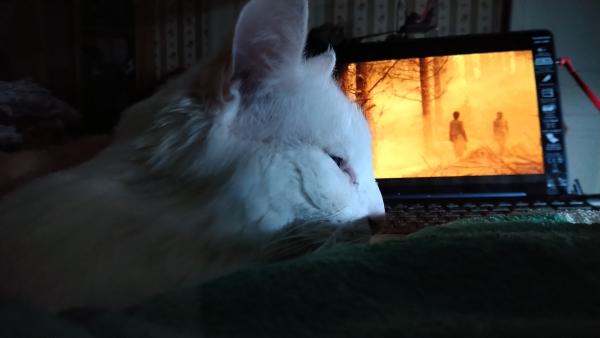 Bérengère