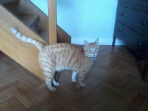Hervy