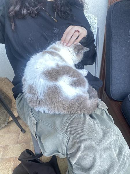 Emie