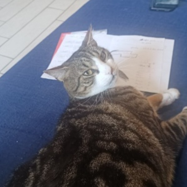Cédric