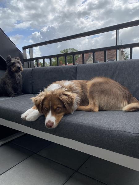 Aurélie