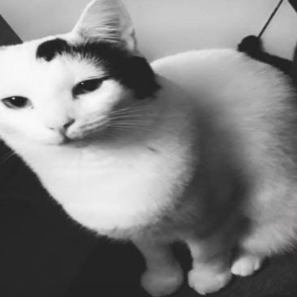 Mélanie