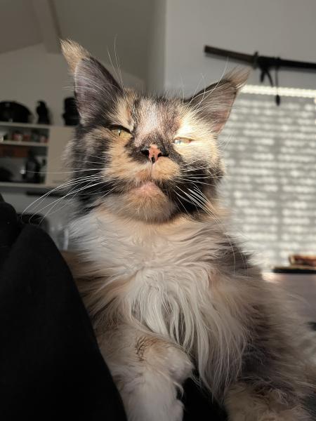 Lou