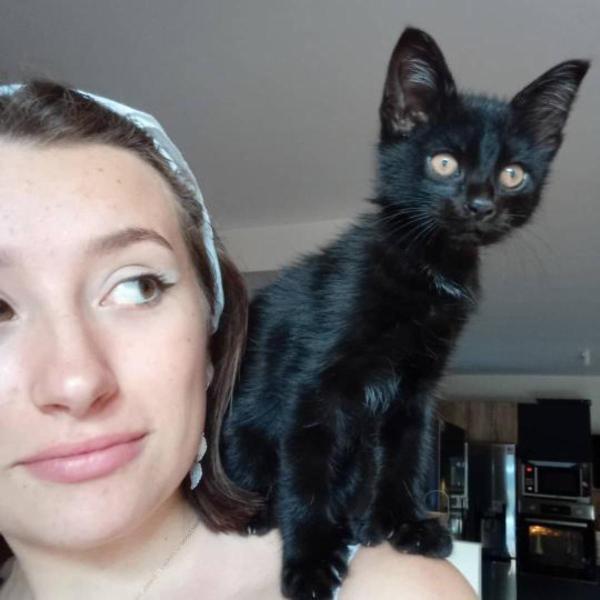 Elisa