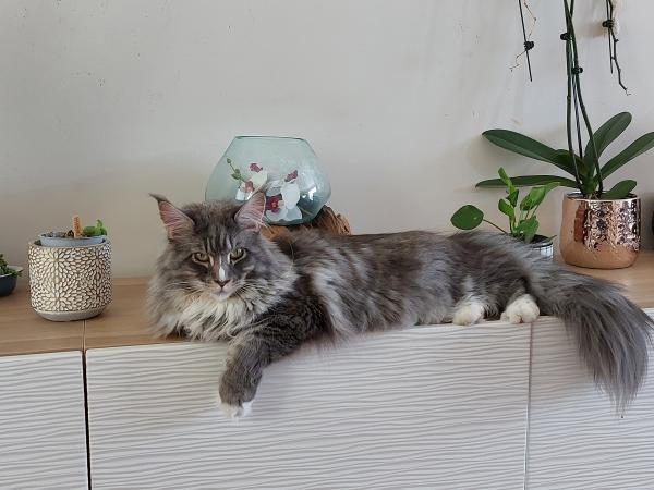 Mélanie