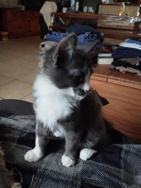 Lucy