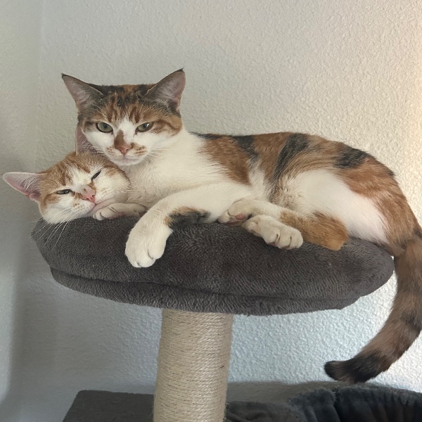 Léa