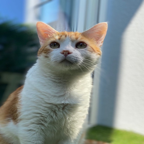 Paul