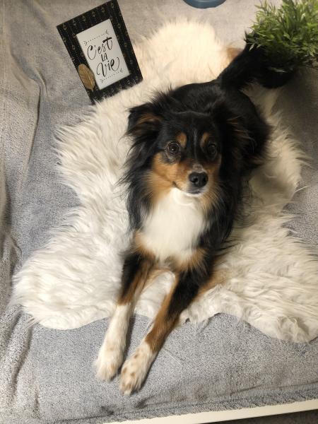 Mélodie