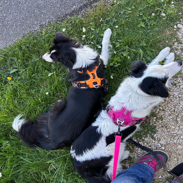 Corentin et Maëlla