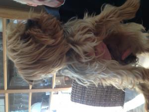 Alain