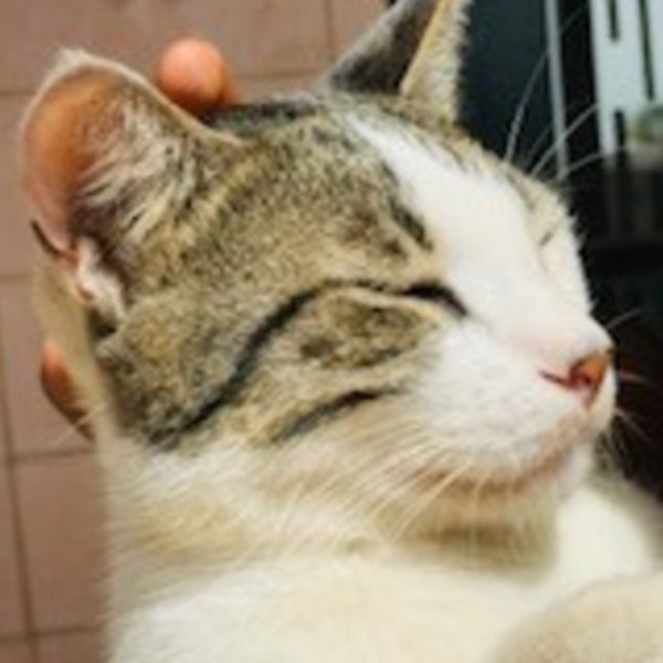 Aissatou