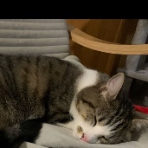 Maëlys