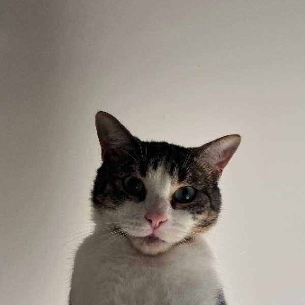 Cali