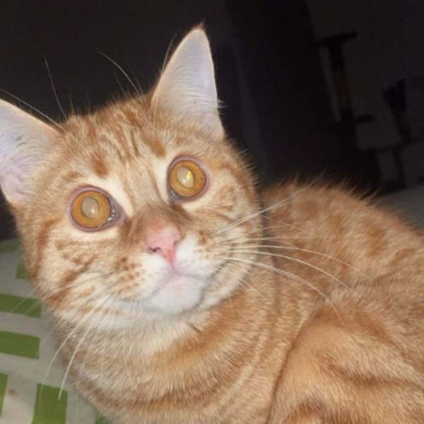 charles