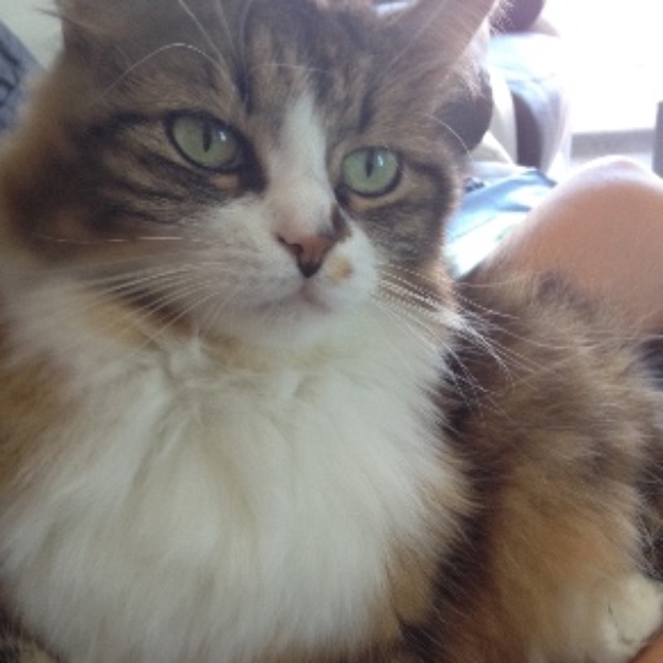 Lilou