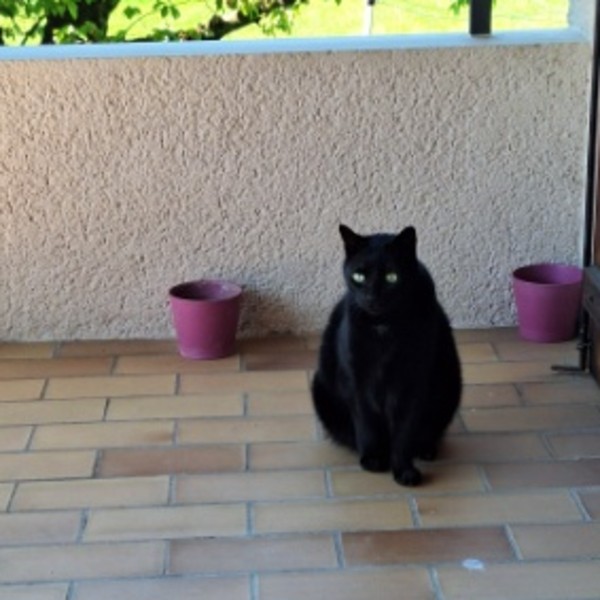 Elodie
