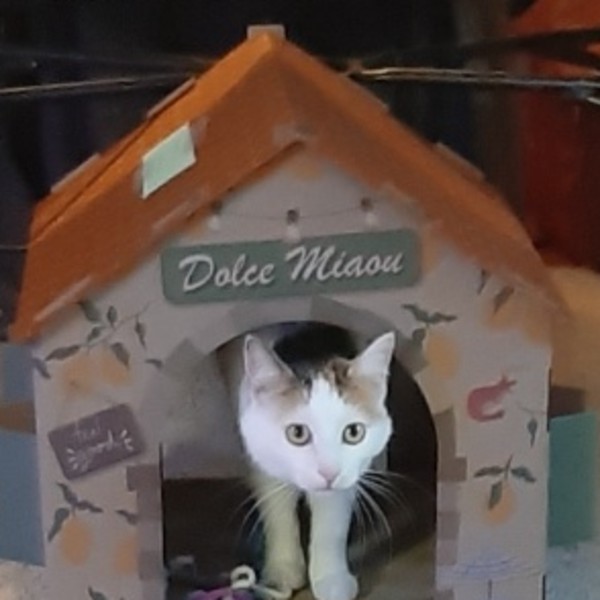 Juliette