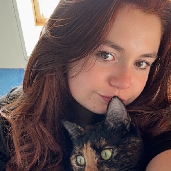 calypso