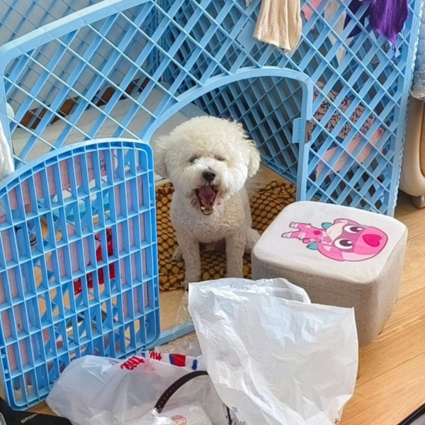 Lila