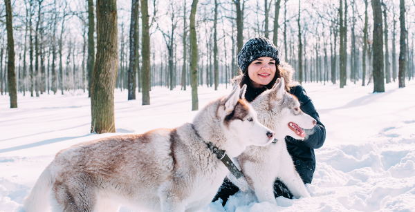 Dogsitter - test