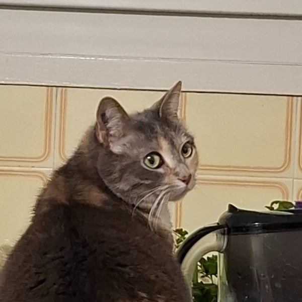 Chloé